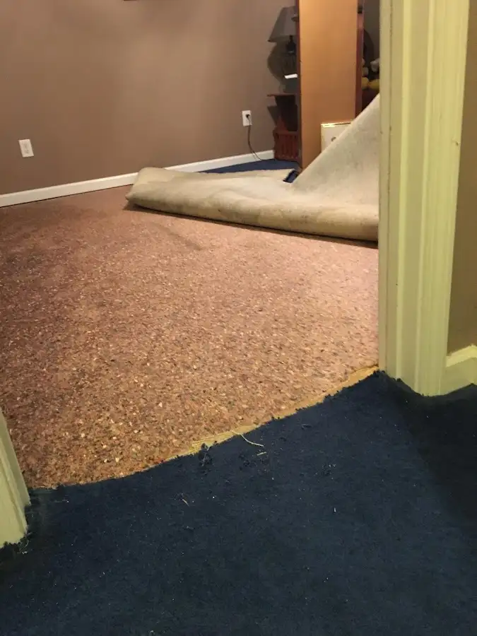 Carpet pad removal revealing water damage during Drying & Dehumidification in Mount Sterling