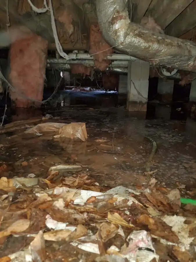 Crawl space flood assessment for Commercial Water Damage Restoration in Mount Sterling